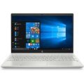 HP Pavilion 15-cs3005TU Core i5 10th Gen